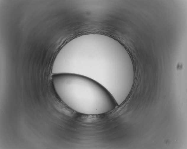 X0000089940384200707271824