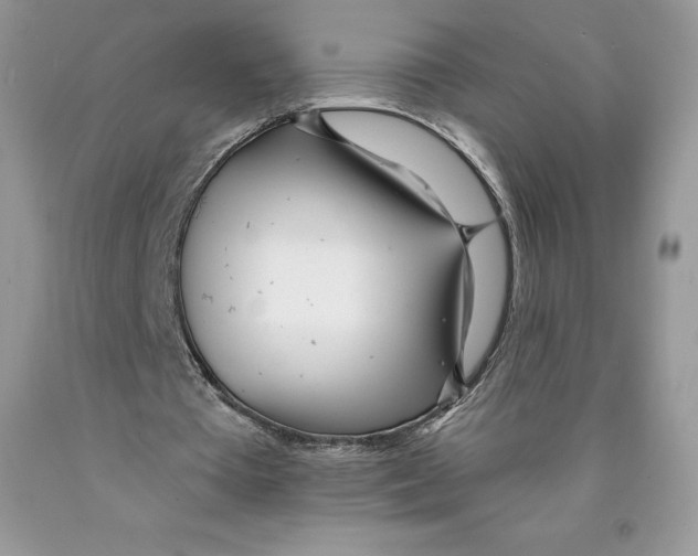 X0000089940385200707271823