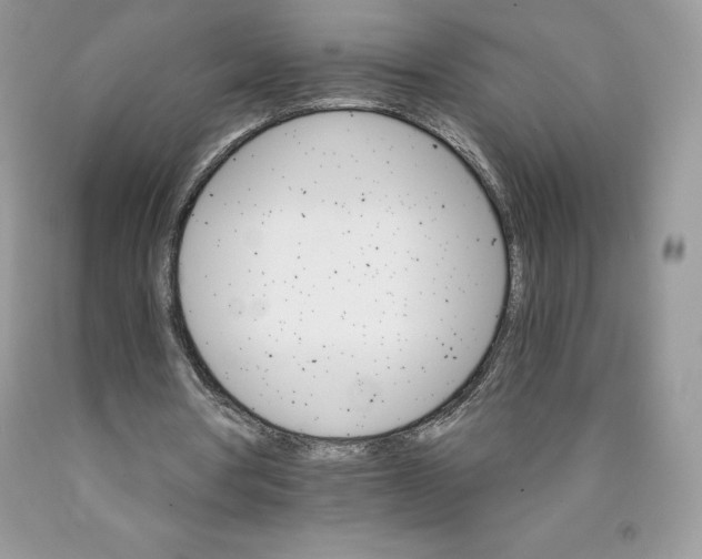 X0000089940386200707271823