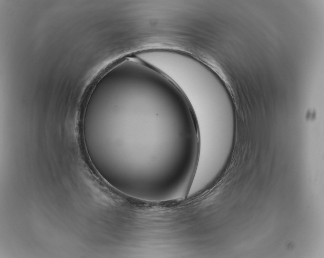 X0000089940387200707271823