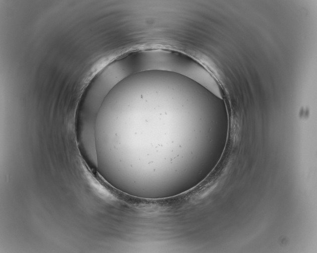X0000089940389200707271823