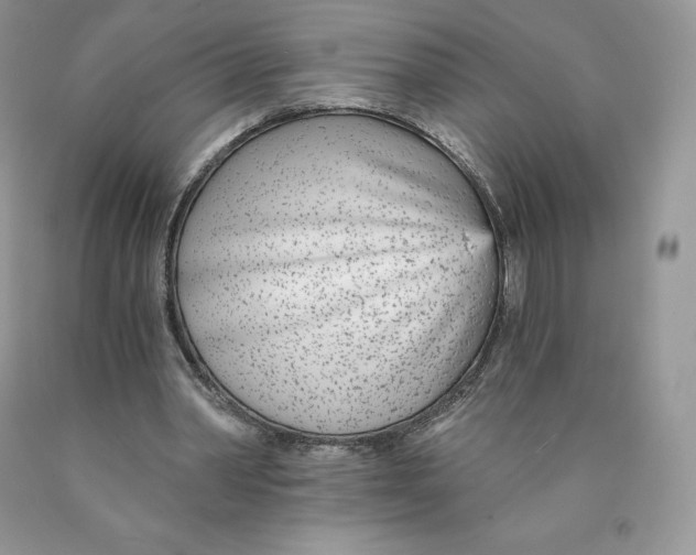 X0000089940390200707271823
