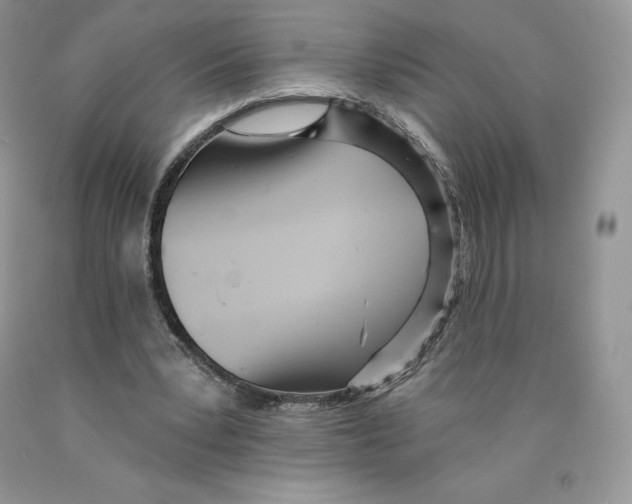 X0000089940391200707271823