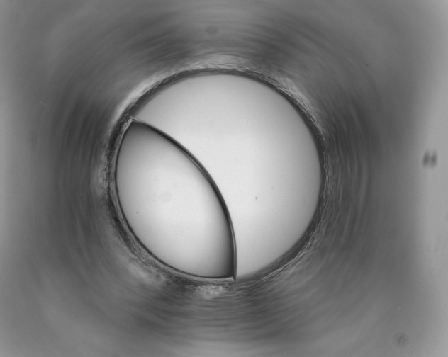X0000089940392200707271823