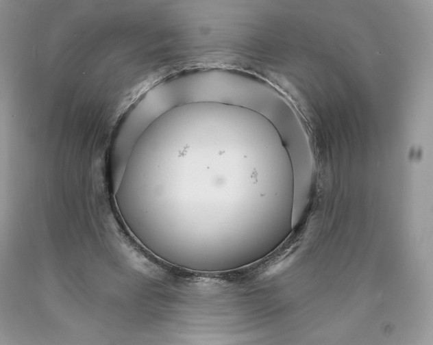 X0000089940393200707271823
