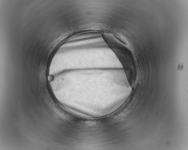 X0000089940394200707271823