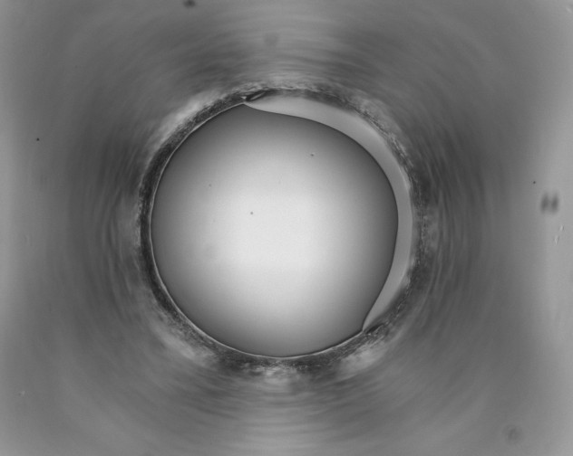 X0000089940395200707271823
