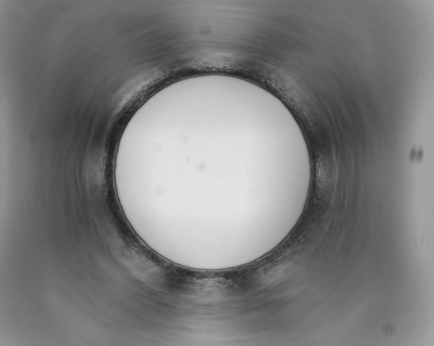 X0000089940396200707271823