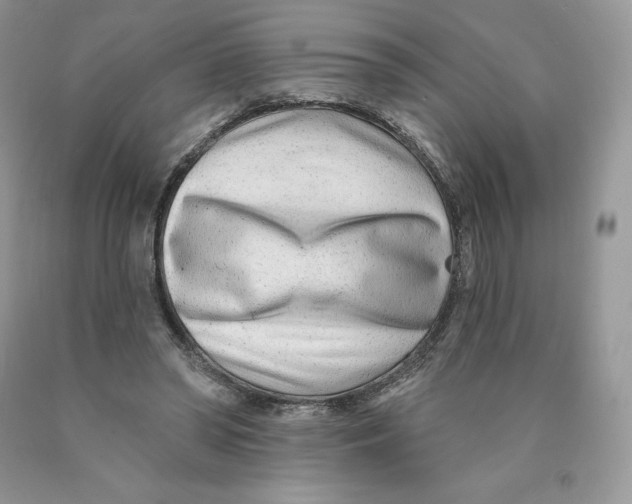 X0000089940398200707271823