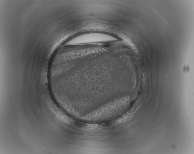 X0000089940399200707271823