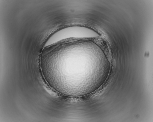 X0000089940401200707271823