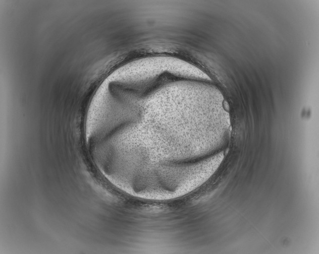 X0000089940402200707271823