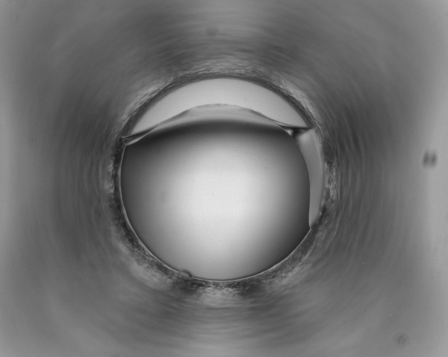 X0000089940403200707271823