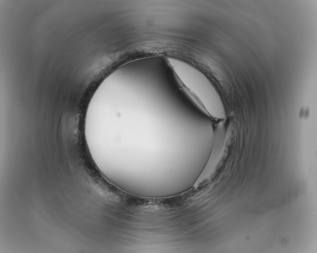 X0000089940404200707271823