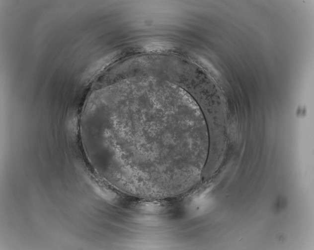 X0000089940405200707271823