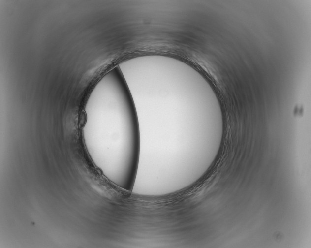 X0000089940407200707271822