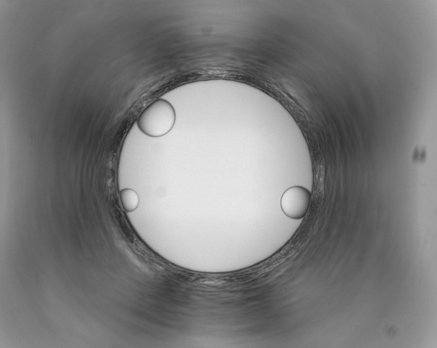 X0000089940408200707271822
