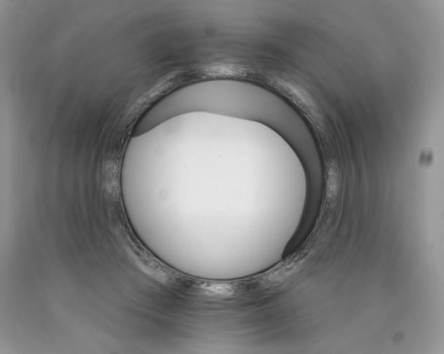 X0000089940409200707271822