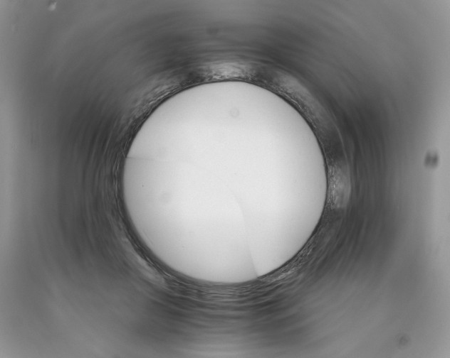 X0000089940410200707271822