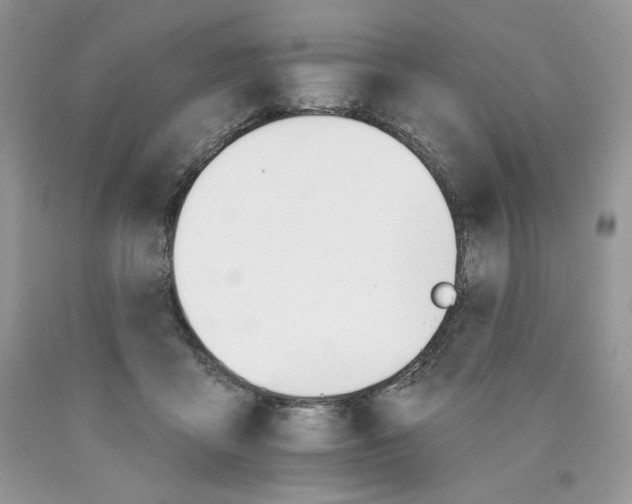 X0000089940411200707271822