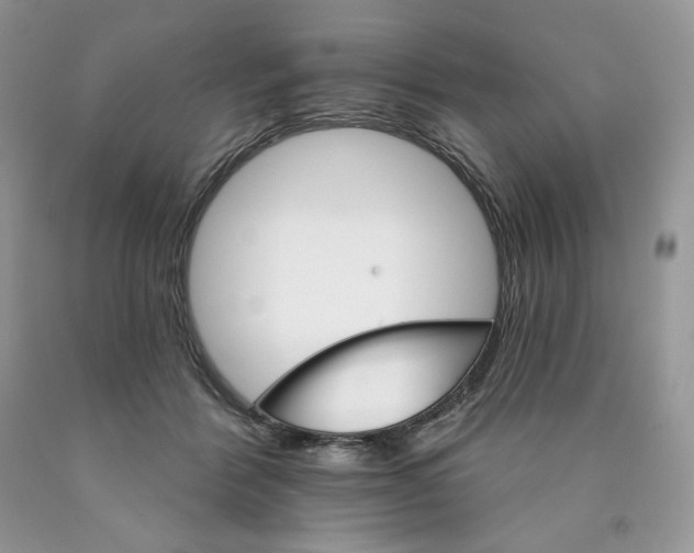 X0000089940412200707271822