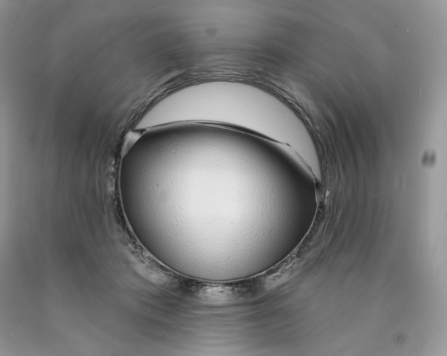 X0000089940413200707271822