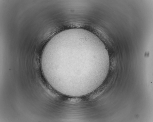 X0000089940414200707271822