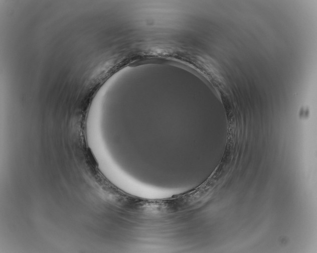 X0000089940415200707271822