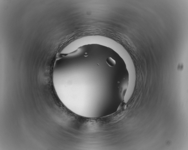 X0000089940416200707271822