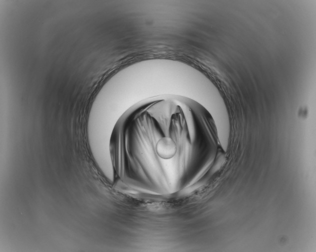 X0000089940417200707271822