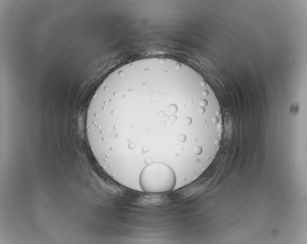 X0000089940418200707271822
