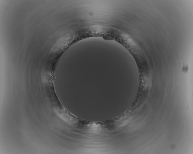 X0000089940419200707271822