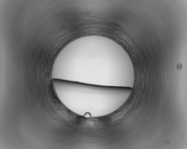 X0000089940420200707271822