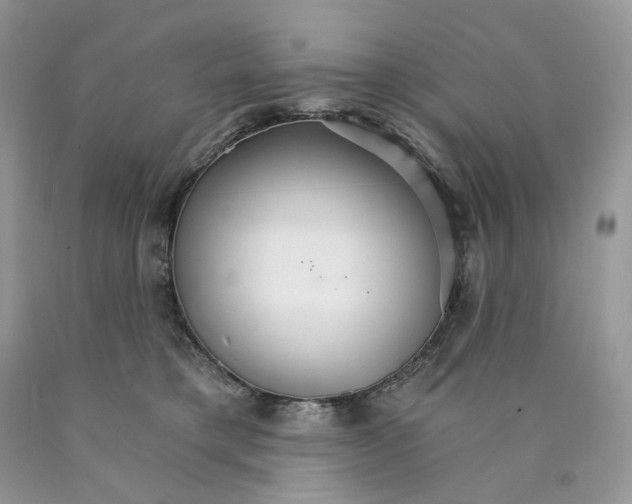 X0000089940421200707271822
