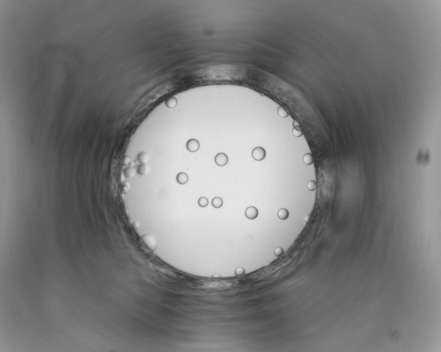 X0000089940422200707271822