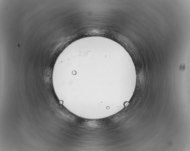 X0000089940423200707271822