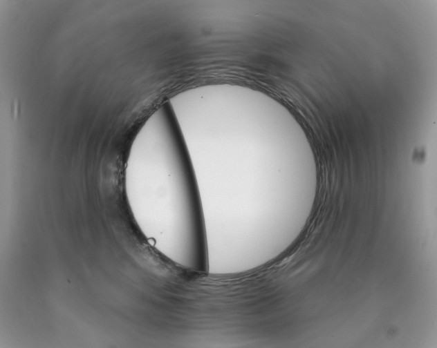 X0000089940424200707271822