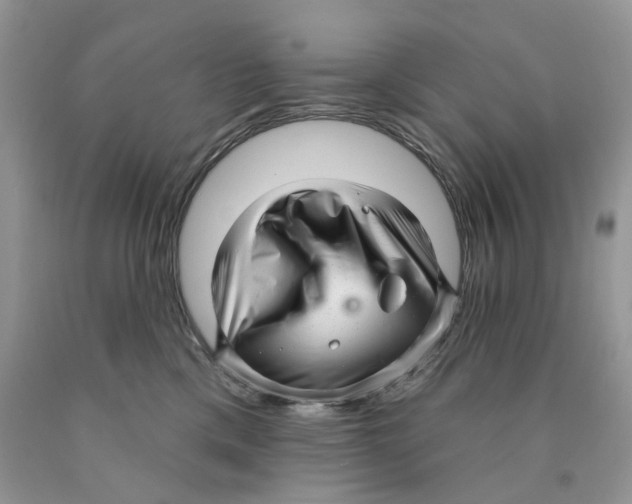 X0000089940425200707271822