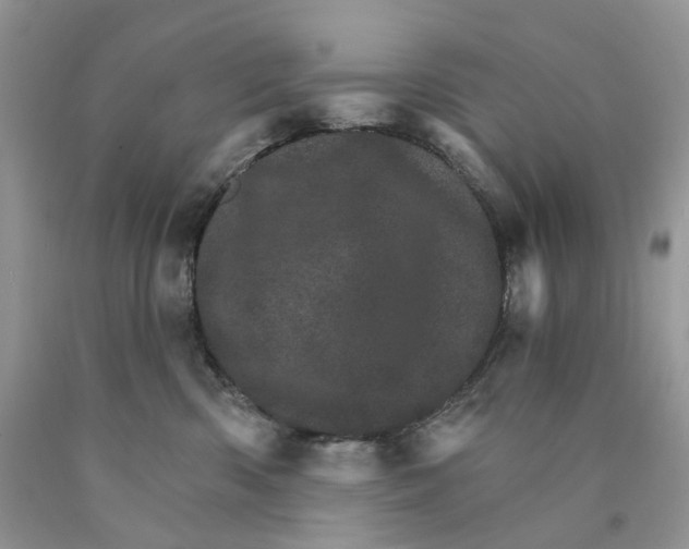 X0000089940426200707271822