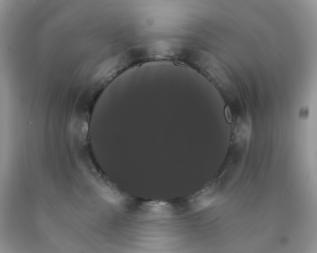 X0000089940427200707271822