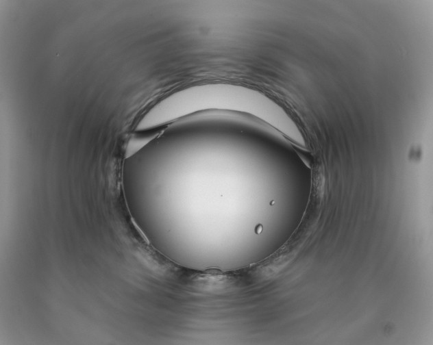 X0000089940428200707271822