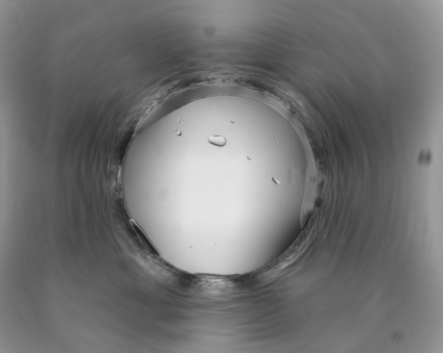 X0000089940429200707271822