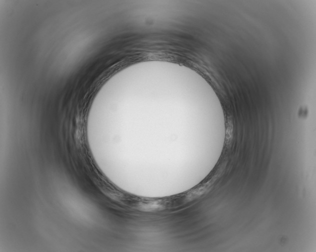X0000089940430200707271822