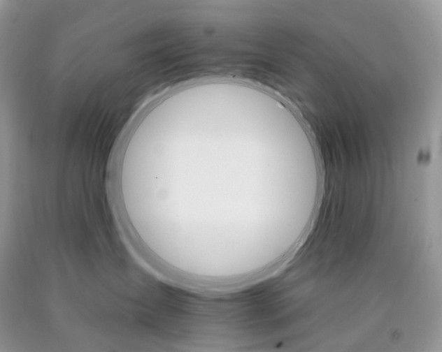X0000089940431200707271822
