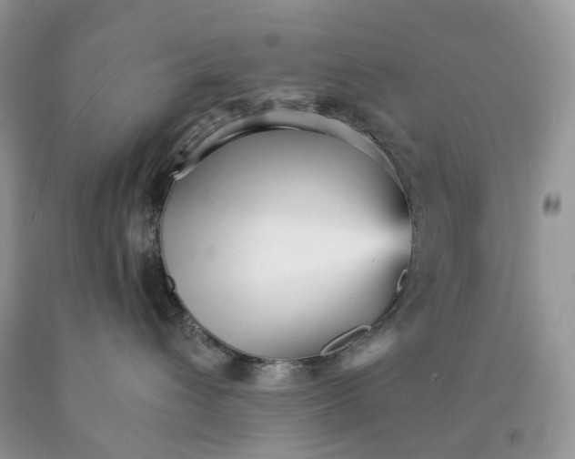 X0000089940432200707271822