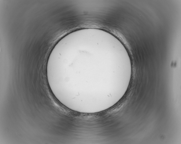 X0000089940433200707271821