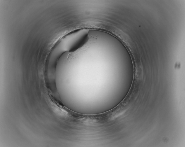 X0000089940434200707271821