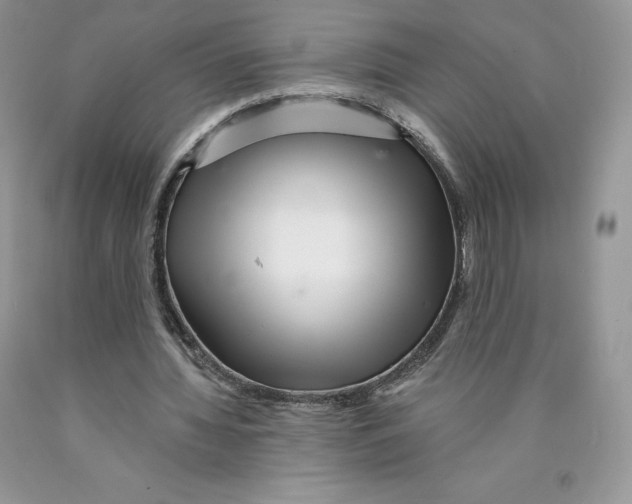 X0000089940436200707271821