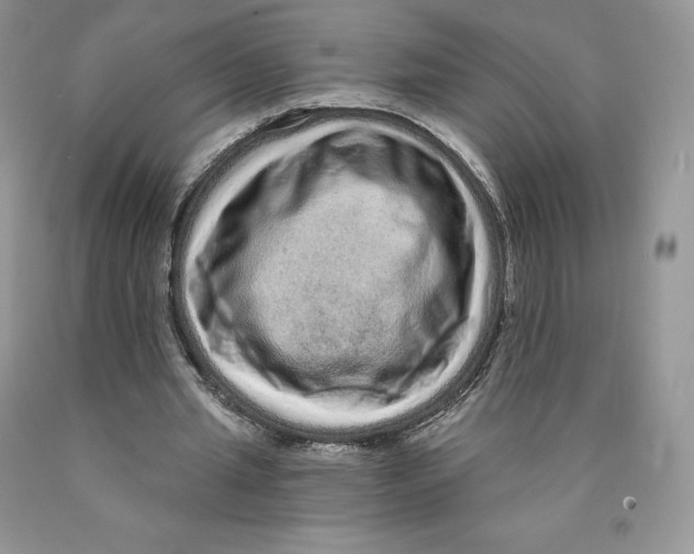 X0000089940437200707271821