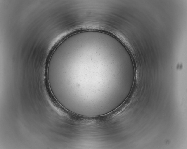 X0000089940438200707271821